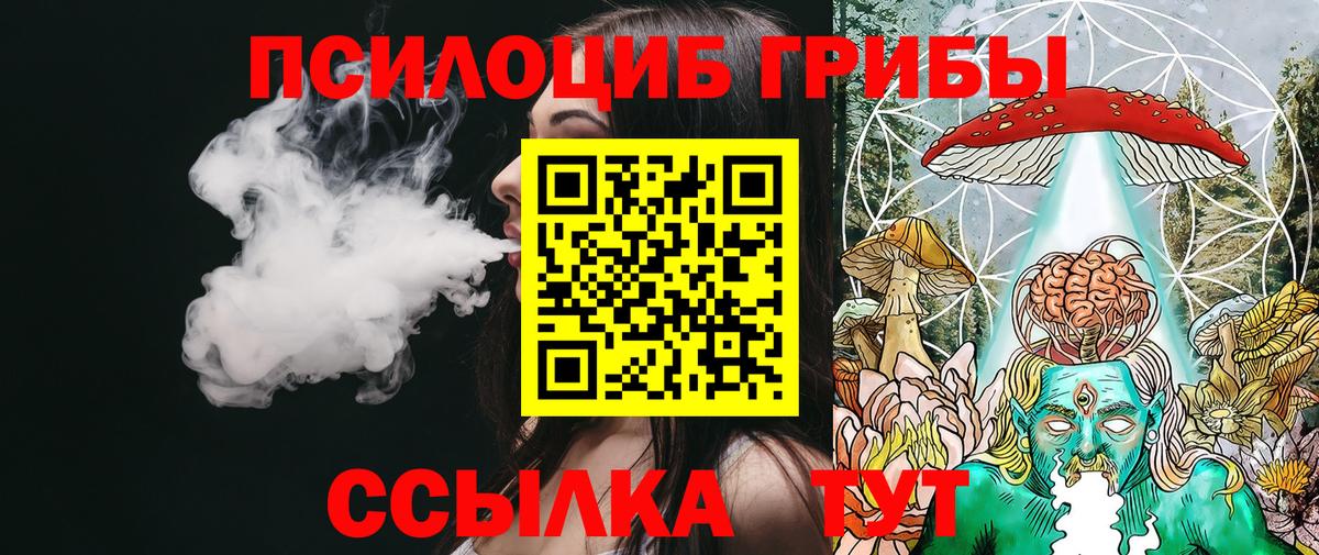 Псилоцибиновые грибы Psilocybine cubensis  Вход с VPN  Звенигород 