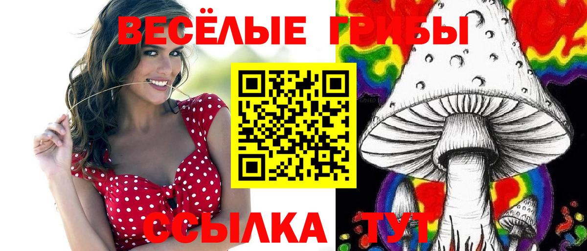 Псилоцибиновые грибы ЛСД Звенигород